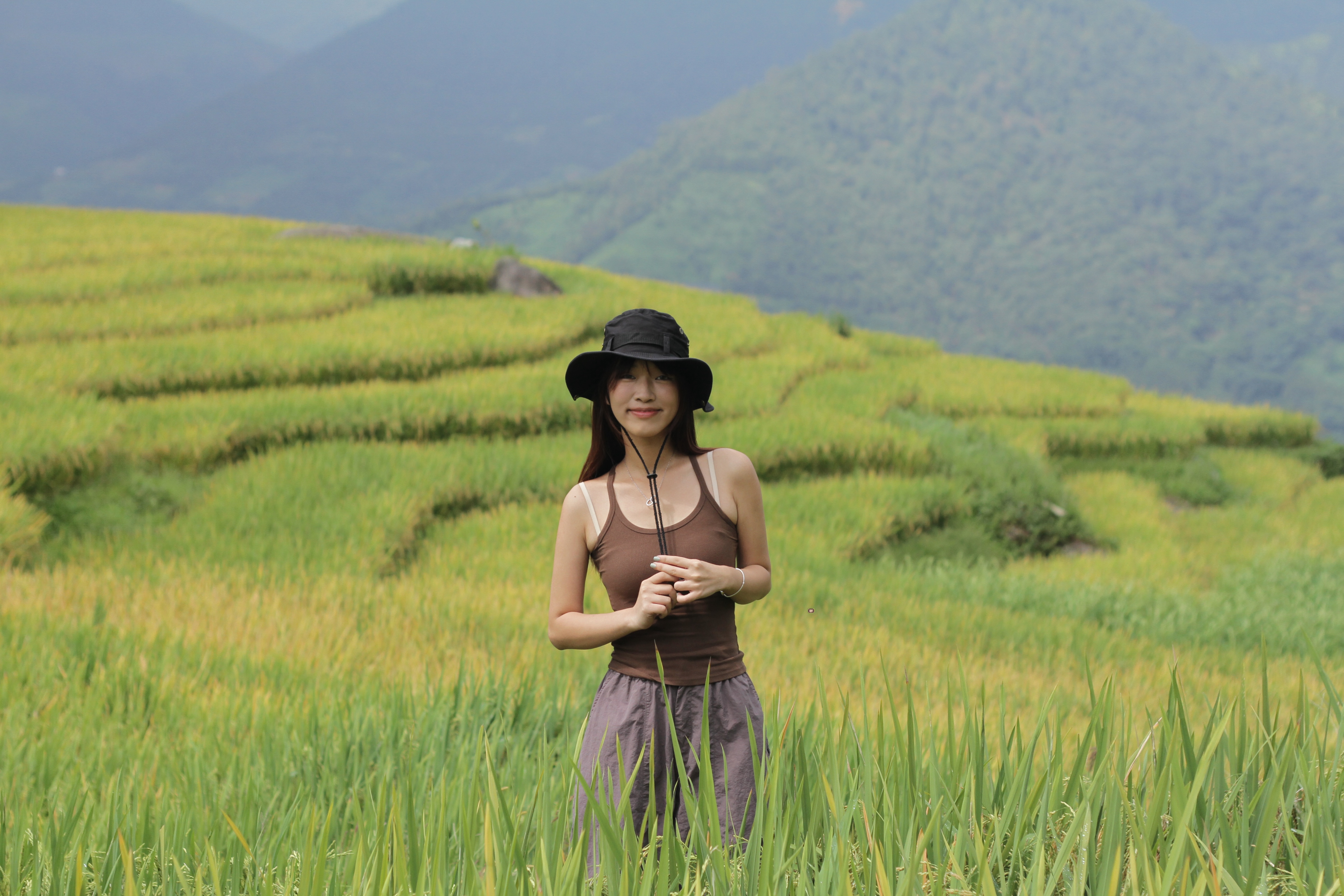 Rice paddy field, Vietnam, 2024.